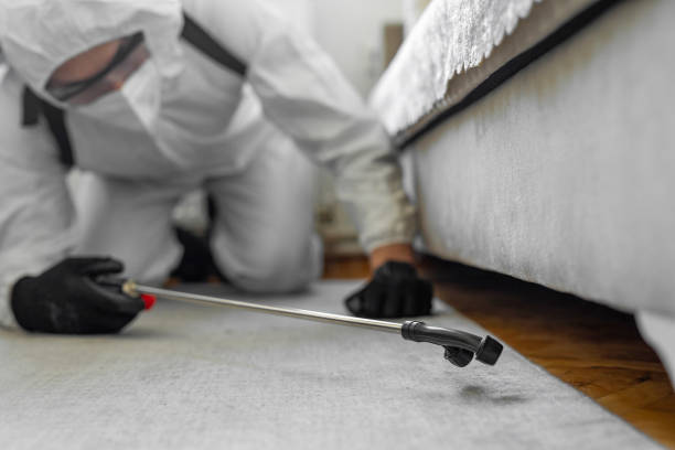 Professional Pest Control technician working in Hampton, TN