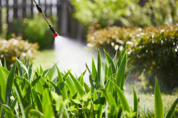 24/7 Emergency Pest Control experts in Hampton, TN